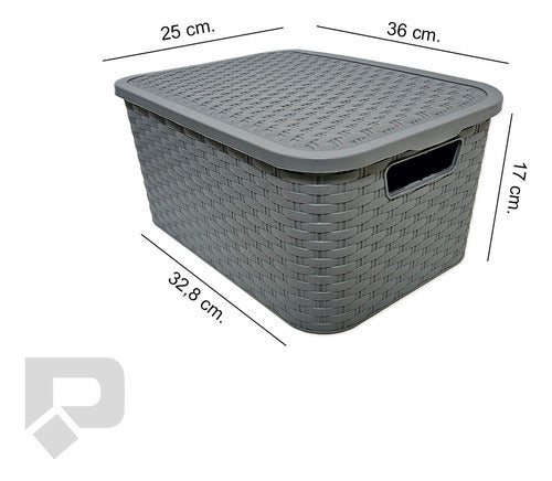 RUPOR SRL Medium Rattan-Look Plastic Storage Baskets Pack of 3 6