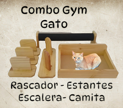 Encuadre Cat Gym Combo 1