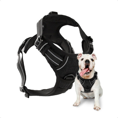 Belmotec Adjustable and Regulated Harness for Dogs Size L 0