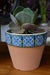 Ceramic Planter with Majolica Guard #588 1