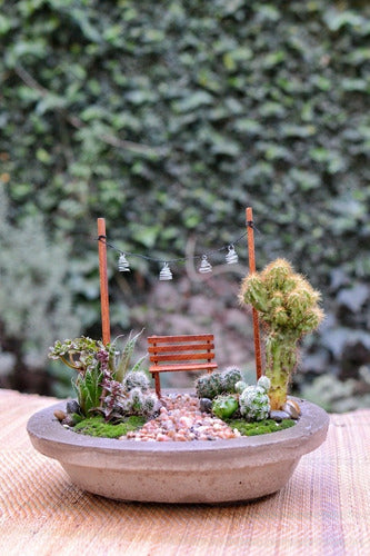 Mini Jardin Terrario/ Para Armar. 5