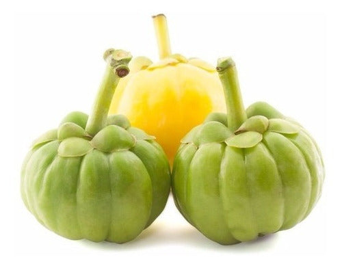 Garcinia Cambogia 2 X 1 - Adelgazante 3