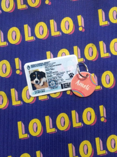 Pet ID Combo + Round Identification Tag 1
