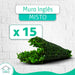 Kit 15 Placa De Buchinho Mistura Eucalipto Jardim Artificial 1