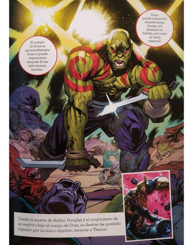 Marvel Character Guide D - H + Hulk Puzzle 2