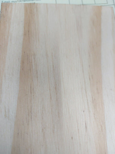 Pine Wood 16mm 2 Cuts 0