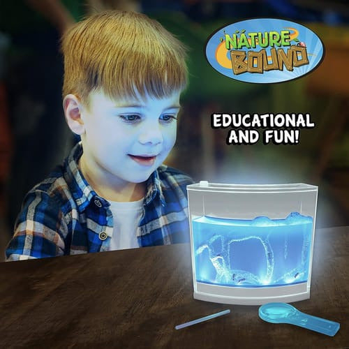 Habitat De Gel Com Iluminação Para Formigas Nature Bond 1