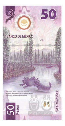 Genérica México Billete De Polímero De 50 Pesos 2022 - Pick 133 - Unc 1