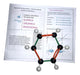 Molecularte Professional Molecular Model with Orbitals 1