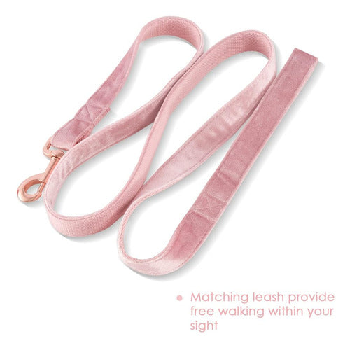 Bubblepup Velvet Dog Collar and Leash Set 2