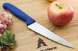 Victorinox 25cm Fibrox Blue Chef Knife 5.2002.25 6