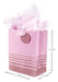 Hallmark 9" Medium Gift Bag with Tissue Paper (Pink Stripes) 1