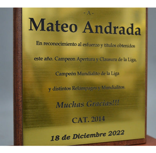 Premio: Pedestal 23cm De Alto, Color Oro, Plata O Cobre. 4