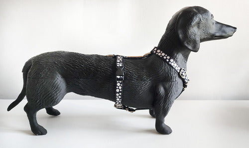 Adjustable Small Size Harness for Small Breeds - Mini Poodles, Dachshunds 46