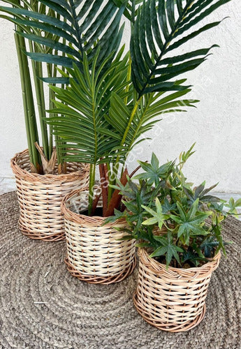 Wicker Planter 1