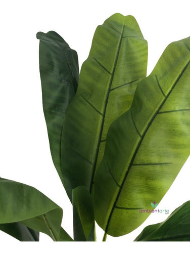 Ambient.Artedeco Banana Tree Approximately 120 cm with Pot 1