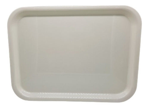 Aloha Large Melamine Breakfast Tray with Modern Design 1