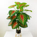 Ramo Planta Tropical Artificial Para Decorar 2