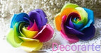 Decor Arte Rosas Y Flores Arcoiris Cartulina. Consult Price By Size 3