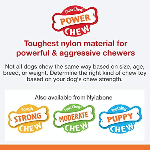 Nylabone Durable Dog Toy Double Action Power Chew 1