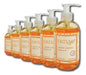 Amway Ertia Passion Fruit Liquid Soap Pack of 6 0