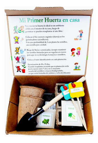 Kit Huerta En Casa - 4 Units with Seeds and Tools 0