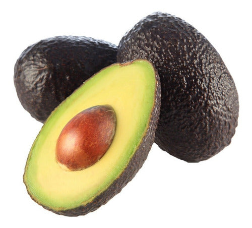 PROPAL Hass Avocado 70 Units (9.6 Kilos) 3