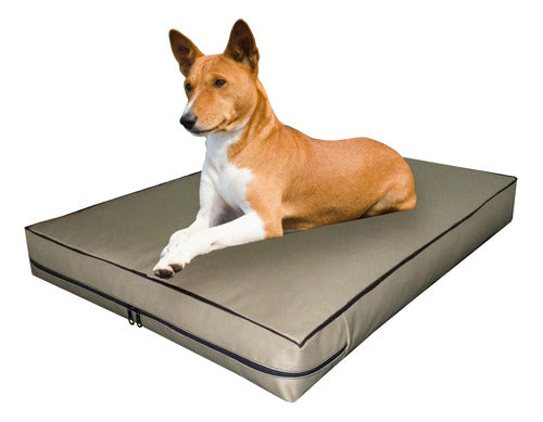 Nuestros Bartulos Anti-Tear Mattress 80x60x10 Cm for Dogs 0