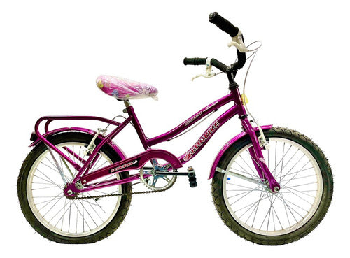 BrandName Bicycle R14 with Basket and Luggage Rack for Girls 5