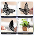 HKFUON 48pcs 3D Black Butterfly Wall Decor 2