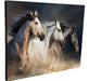 Wall Key Holder Horses Various Models 15x20cm (8) 10