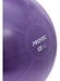 Proyec Swiss Gym Ball 65 cm + Fitness Gym Inflator 3