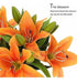 RERXN Realistic Orange Latex Artificial Lilium Flowers X5 2