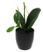 Artificial Orchid with Ceramic Planter 2