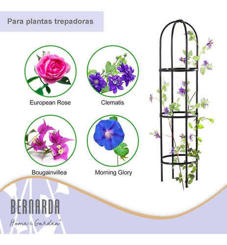 Iron Plant Trellis Tutor for Climbing Vines Arch Garden Fence Guide 4