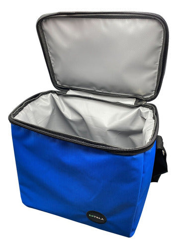 100% Waterproof Cooler Lunch Bag Refrigerator Carrier 0