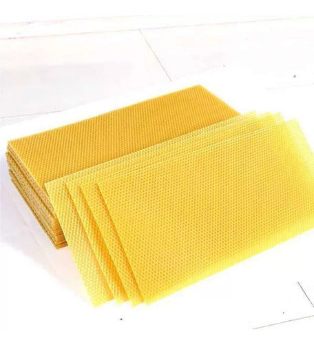 Honeycomb Sheets 20x40 Pure Honey X 12 Un. 2