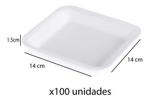 Small Expanded Polystyrene Tray 617 x 100 Units 1