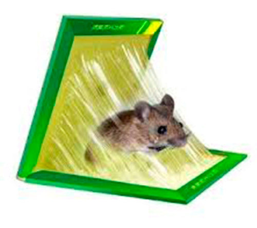 Adhesive Rat Mouse Trap with Glue - Special Offer 1