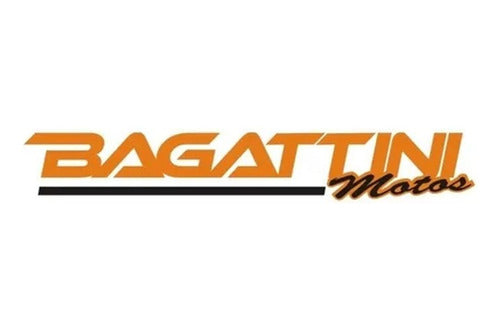 Bagattini Reten De Motor Rx150 1