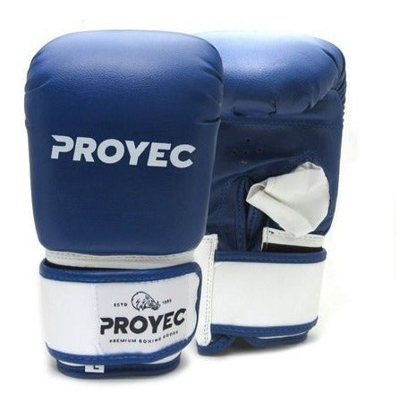 Proyec Boxing Gloves - Vivid Collection 12