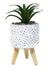 Cinderella Decoracion Cement Pot Petit with Artificial Plant 16cm 0