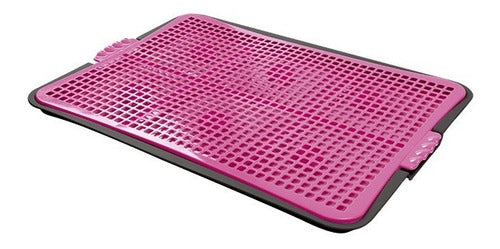 Plast Pet Sanitary Bath for Pets 57 x 39 x 2.6 cm 3