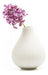 Chive Frost Small Ceramic Vase - Decorative Vases 1