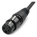 Cable Divisor Xlr Disino, Xlr Hembra De 3 Pines A Xlr Macho 2