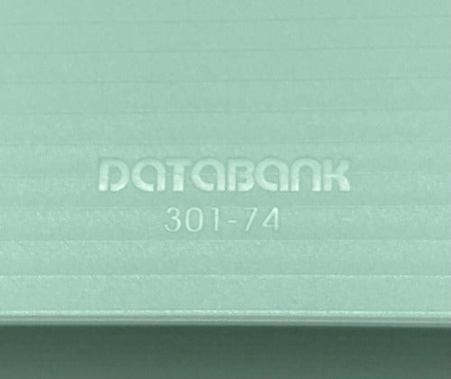 Databank A4 45mm Spine Elastic Folder - Pastel Green 6