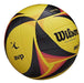 Wilson AVP Game Volleyballs - Official Size 3