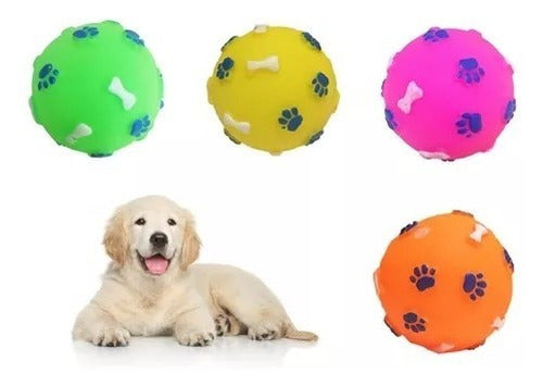 Oasis Paw Print Design Ball for Pets with Squeak 0