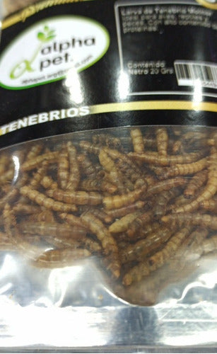 Tenebrios Alpha Pet Molitor 20g Peces Erizos Reptiles Aves 1