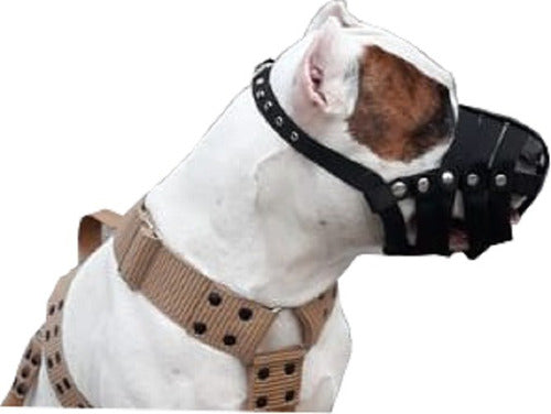 Stylish_dogg Pechera + Collar Con Agarre + Bozal - Pitbull, Boxer, etc. 7